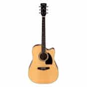 Profesyonel Gitarlar (1)