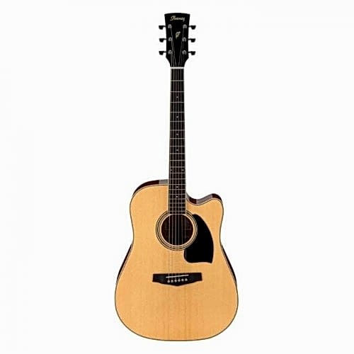 Profesyonel Gitarlar