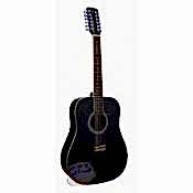 Akustik Gitar (6)