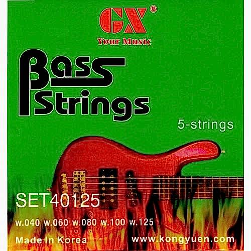 Beş Telli Bas Gitar Teli GAB305