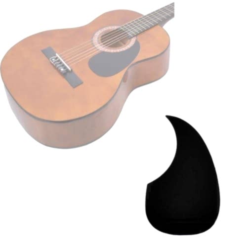 Gitar Pena Korumalığı PG100