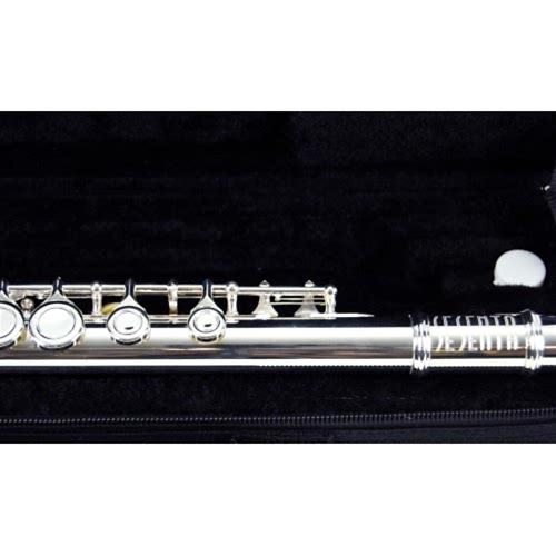 Yanflut Sesenta C Gümüş 16 SSF4116SV