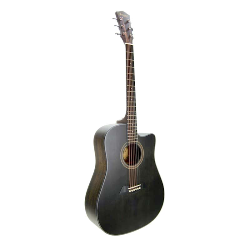Akustik Gitar Segovıa Ladin SGA486C