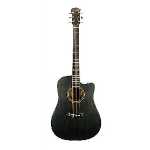 Akustik Gitar Segovıa Ladin SGA486C