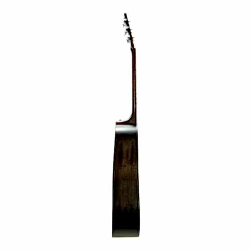 Akustik Gitar Segovıa Ladin SGA486C
