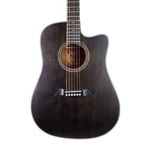 Akustik Gitar Segovıa Ladin SGA486C