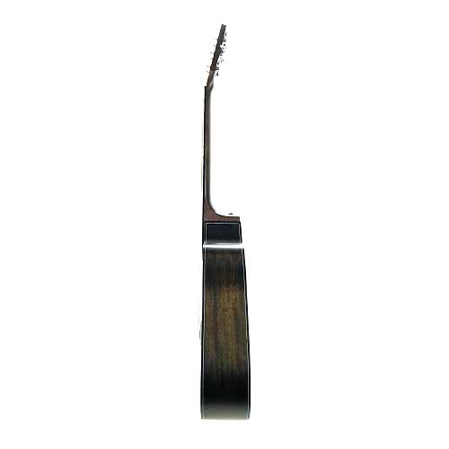 Akustik Gitar Segovıa Ladin SGA486C