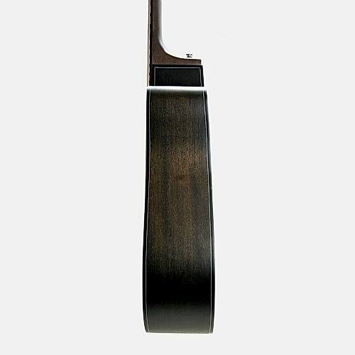 Akustik Gitar Segovıa Ladin SGA486C