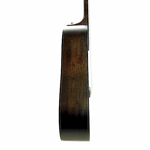 Akustik Gitar Segovıa Ladin SGA486C