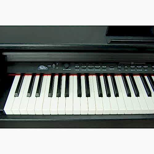 Digital Piano Hammer Action 88 Tuş STDP518